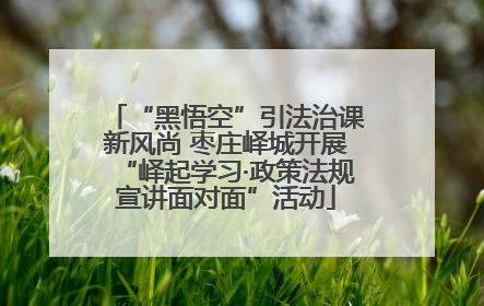 “黑悟空”引法治课新风尚 枣庄峄城开展“峄起学习·政策法规宣讲面对面”活动