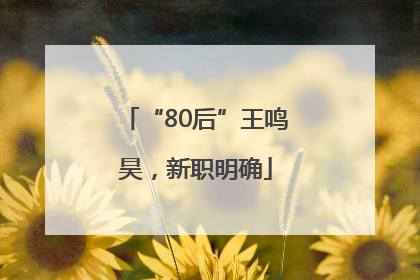 “80后”王鸣昊，新职明确