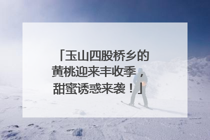 玉山四股桥乡的黄桃迎来丰收季，甜蜜诱惑来袭！