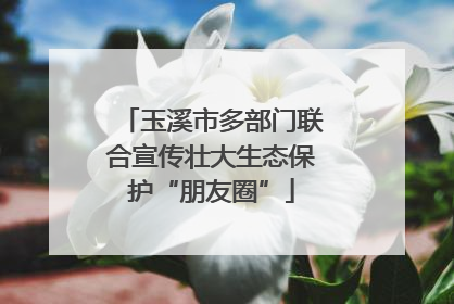 玉溪市多部门联合宣传壮大生态保护“朋友圈”