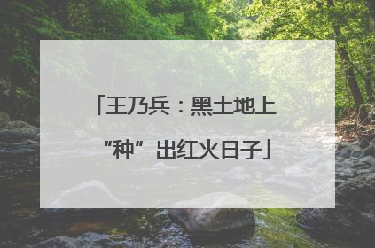 王乃兵：黑土地上“种”出红火日子