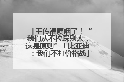 王传福哽咽了！“我们从不拉踩别人，这是原则”！比亚迪：我们不打价格战