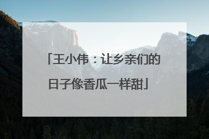 王小伟：让乡亲们的日子像香瓜一样甜