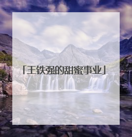 王铁强的甜蜜事业