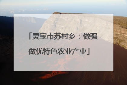 灵宝市苏村乡：做强做优特色农业产业