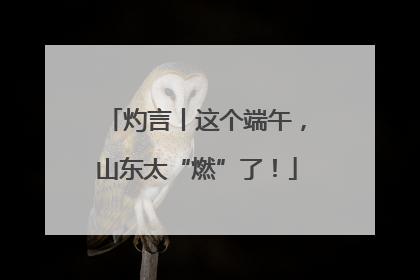 灼言丨这个端午，山东太“燃”了！
