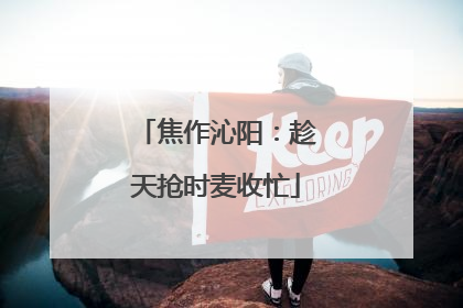 焦作沁阳：趁天抢时麦收忙
