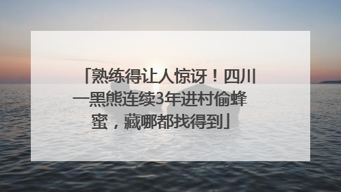 熟练得让人惊讶！四川一黑熊连续3年进村偷蜂蜜，藏哪都找得到