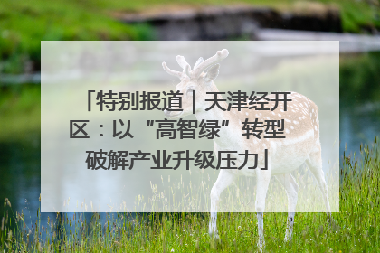 特别报道｜天津经开区：以“高智绿”转型破解产业升级压力