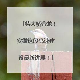 特大桥合龙！安徽这段高速建设最新进展！