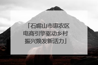 石嘴山市惠农区电商引擎驱动乡村振兴焕发新活力