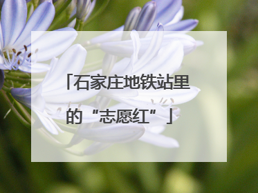 石家庄地铁站里的“志愿红”