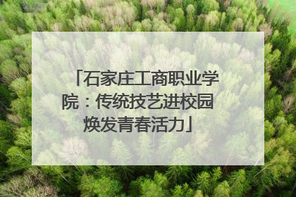 石家庄工商职业学院：传统技艺进校园焕发青春活力