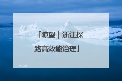 瞭望｜浙江探路高效能治理