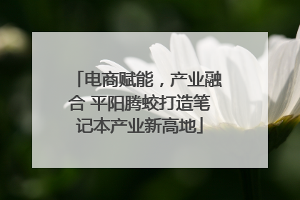 电商赋能，产业融合 平阳腾蛟打造笔记本产业新高地