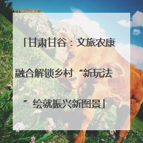 甘肃甘谷：文旅农康融合解锁乡村“新玩法”绘就振兴新图景