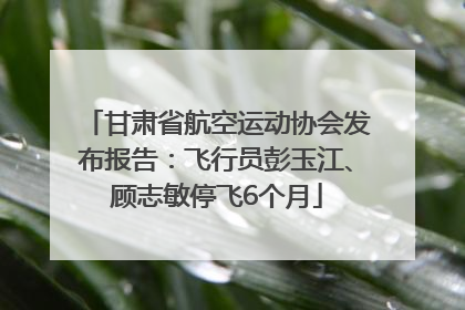 甘肃省航空运动协会发布报告：飞行员彭玉江、顾志敏停飞6个月