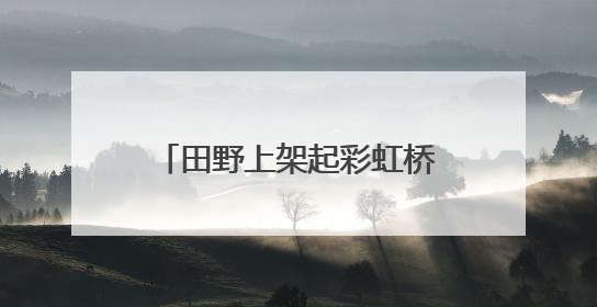 田野上架起彩虹桥：三亚水蛟村“农田+”激活乡村经济