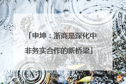 申坤：浙商是深化中非务实合作的新桥梁