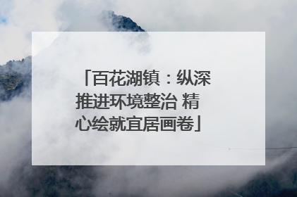 百花湖镇：纵深推进环境整治 精心绘就宜居画卷