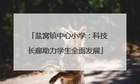 盐窝镇中心小学：科技长廊助力学生全面发展