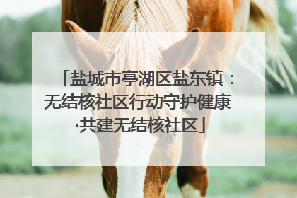 盐城市亭湖区盐东镇：无结核社区行动守护健康 ·共建无结核社区