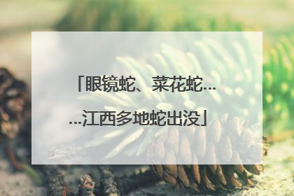 眼镜蛇、菜花蛇……江西多地蛇出没