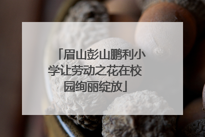 眉山彭山鹏利小学让劳动之花在校园绚丽绽放