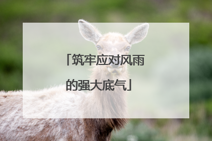 筑牢应对风雨的强大底气