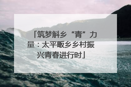 筑梦斛乡“青”力量：太平畈乡乡村振兴青春进行时