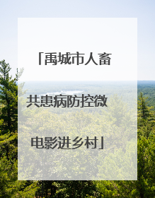 禹城市人畜共患病防控微电影进乡村