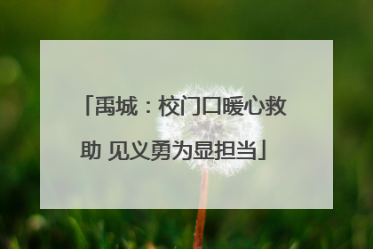 禹城：校门口暖心救助 见义勇为显担当