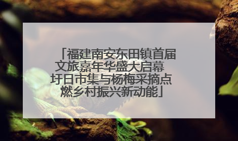 福建南安东田镇首届文旅嘉年华盛大启幕 圩日市集与杨梅采摘点燃乡村振兴新动能