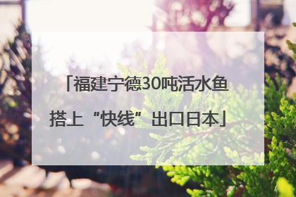 福建宁德30吨活水鱼搭上“快线”出口日本