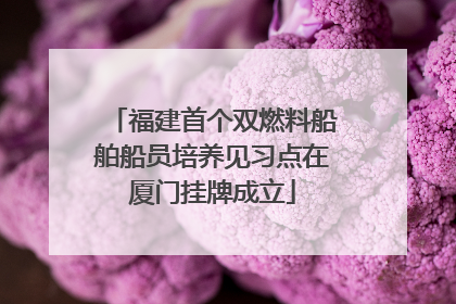 福建首个双燃料船舶船员培养见习点在厦门挂牌成立