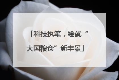 科技执笔，绘就“大国粮仓”新丰景