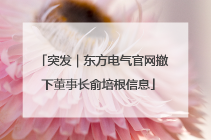 突发｜东方电气官网撤下董事长俞培根信息