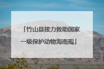 竹山县接力救助国家一级保护动物海南鳽