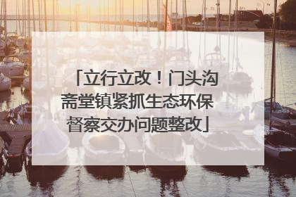 立行立改！门头沟斋堂镇紧抓生态环保督察交办问题整改