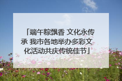 端午粽飘香 文化永传承 我市各地举办多彩文化活动共庆传统佳节