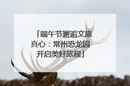 端午节邂逅文旅真心：常州恐龙园开启美好旅程