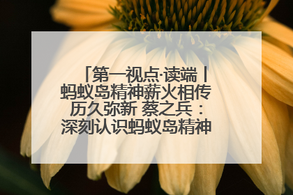 第一视点·读端丨蚂蚁岛精神薪火相传历久弥新 蔡之兵：深刻认识蚂蚁岛精神的“精气神”
