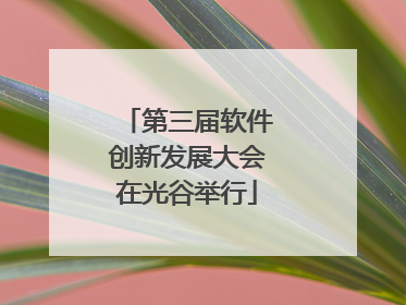 第三届软件创新发展大会在光谷举行