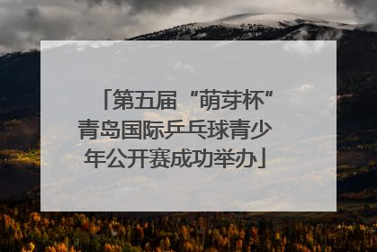 第五届“萌芽杯”青岛国际乒乓球青少年公开赛成功举办