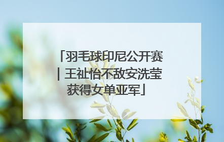 羽毛球印尼公开赛｜王祉怡不敌安洗莹 获得女单亚军