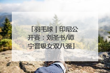 羽毛球｜印尼公开赛：刘圣书/谭宁晋级女双八强