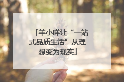 羊小咩让“一站式品质生活”从理想变为现实
