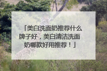 美白洗面奶推荐什么牌子好，美白清洁洗面奶哪款好用推荐！