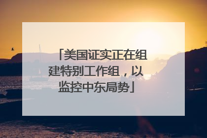 美国证实正在组建特别工作组，以监控中东局势