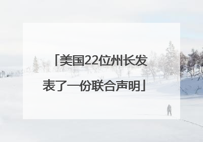 美国22位州长发表了一份联合声明